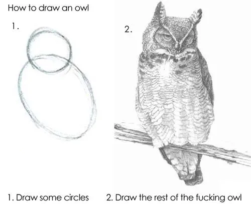 A two-step how-to article on how to draw an owl that tells you to
"draw some circles", and then "draw the rest of the fucking owl".